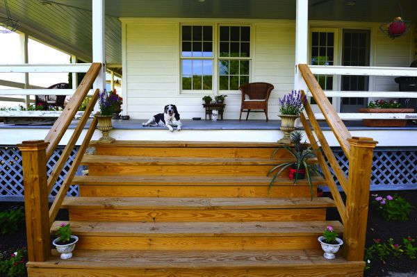 Porch Steps Staining