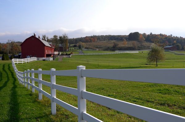 Stable Fence Painting